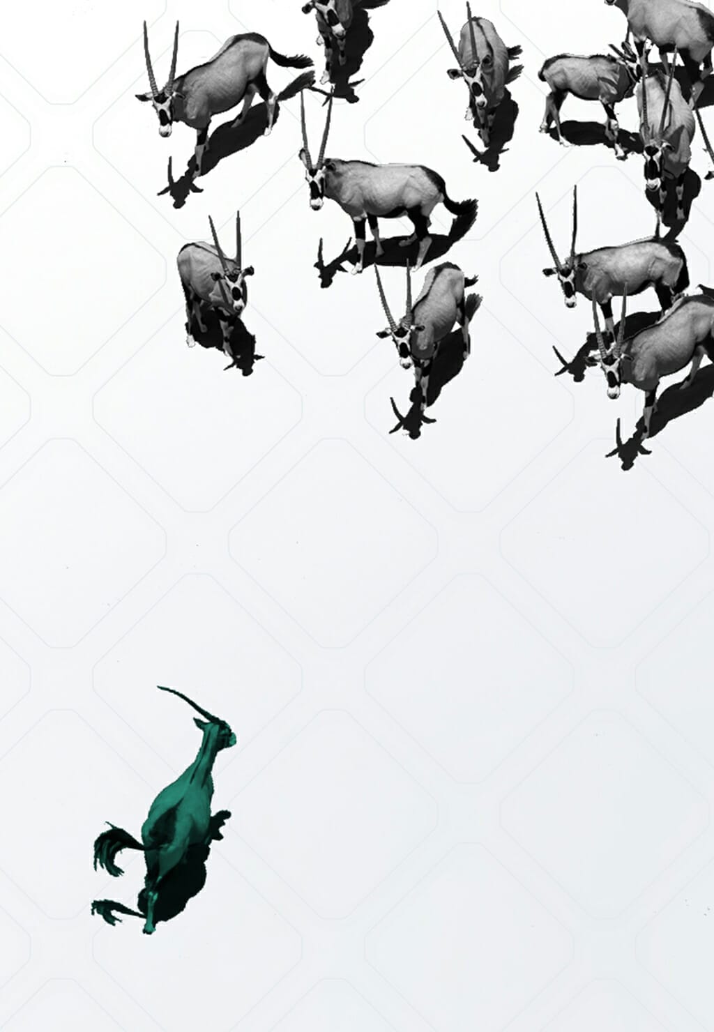 A lone teal-colored antelope is depicted in the bottom left, while a herd of black-and-white antelopes, representing the Partner Program, is shown moving in a cluster at the top right against a white background.