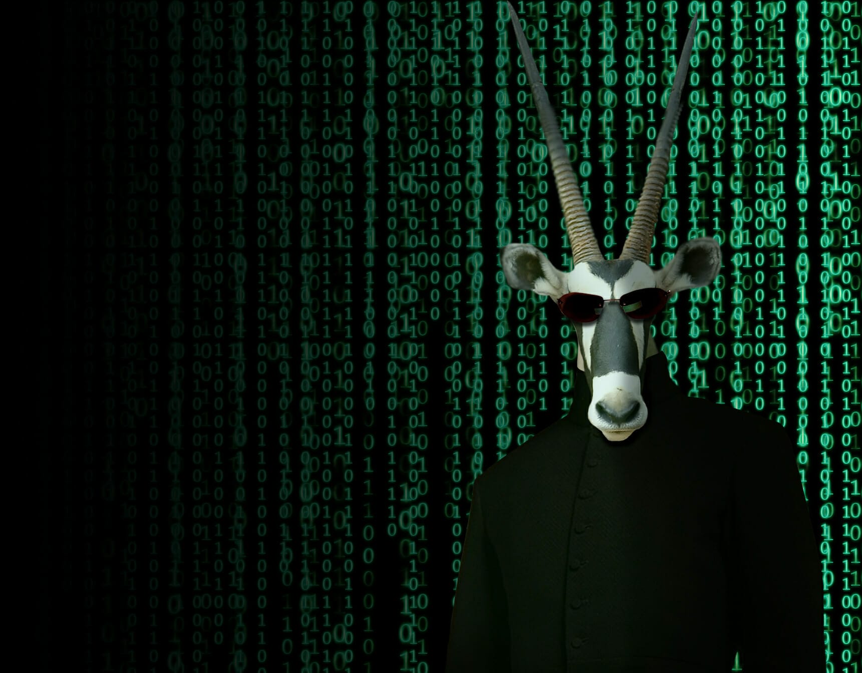 A person dressed in a dark outfit wears an oryx mask against a backdrop of green binary code, reminiscent of a 2022 coding bootcamp scene.