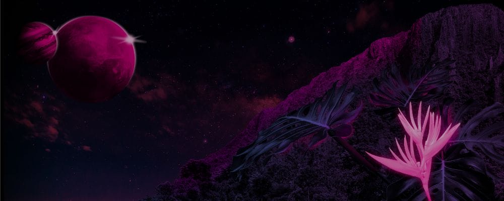 A surreal image of a night sky with a pink planet and a smaller celestial body, inspired by the vibrant Spryker community. The foreground features abstract, neon pink and purple foliage against a dark background.