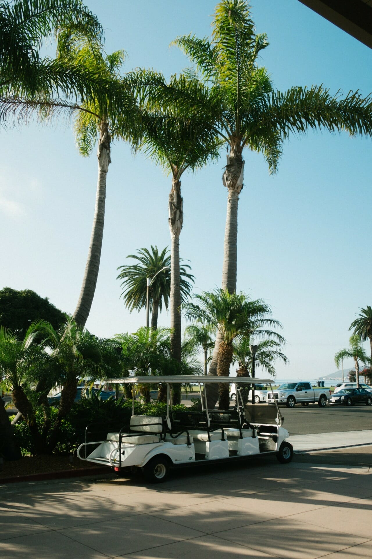 A white golf cart is parked near a sidewalk with tall palm trees and a blue sky in the background, highlighting the serene environment often sought by B2B online Florida manufacturers and distributors.