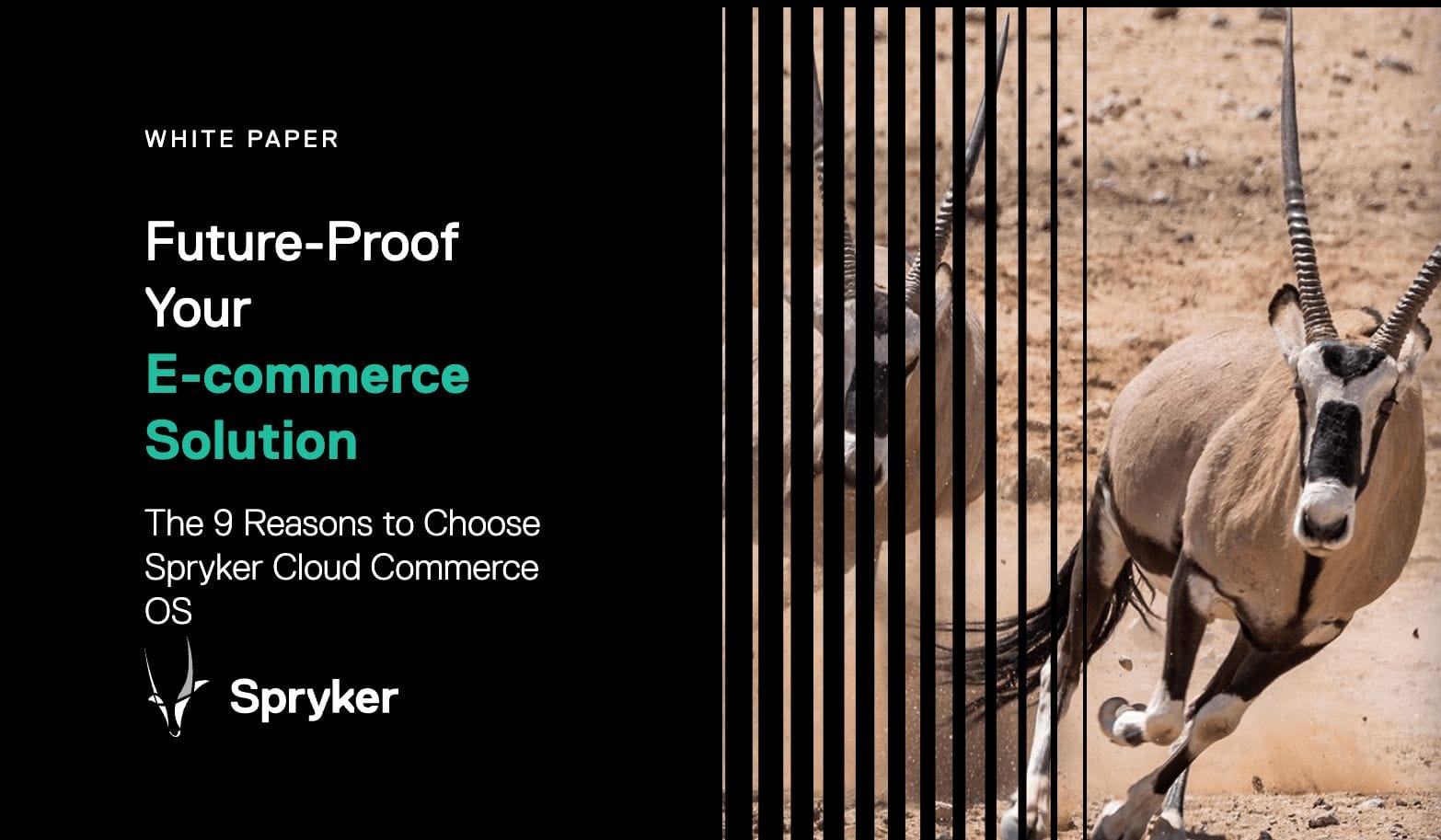 Cover for the Future Proof Your E-Commerce Solution White Paper