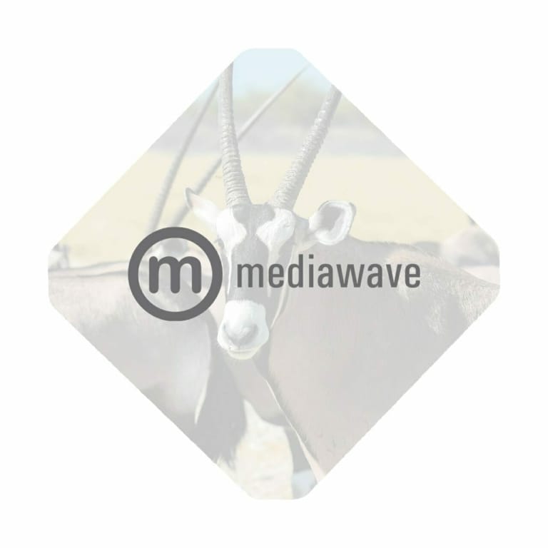 A logo for Mediawave featuring a gemsbok (antelope) in the background, reminiscent of the excitement and unpredictability of Chatroulette.